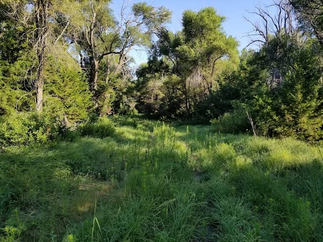Sheridan Wildlife Area - Image 1