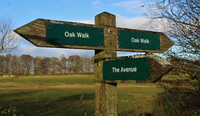 The Avenue Path - Image 1