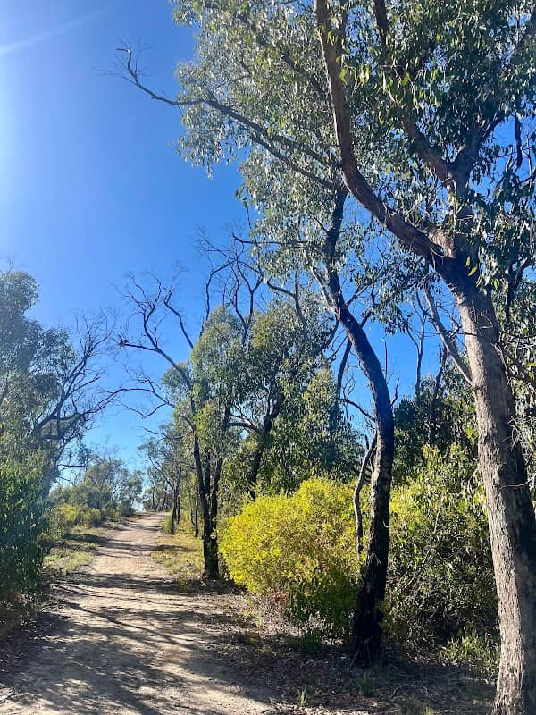 Scott Creek Conservation Park - Image 1