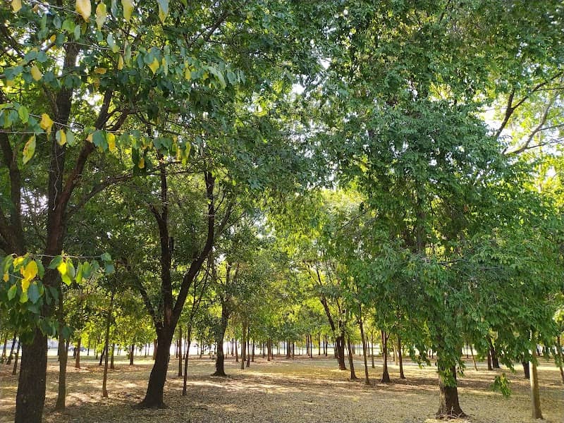Parco Baden Powell - Image 1
