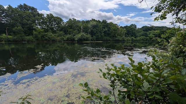 Wright Lake Parking Area - Image 1