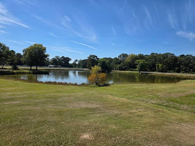 Joe Pedigo Park - Image 3