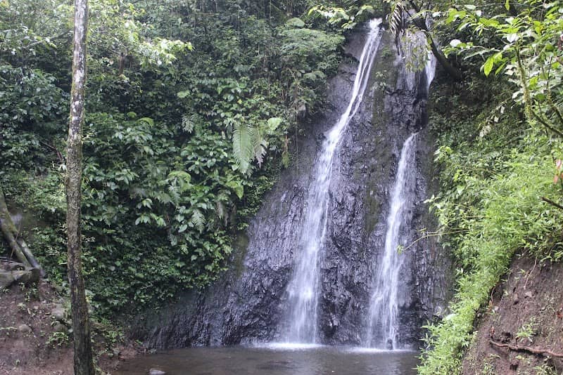 Curug karacak valley - Image 1