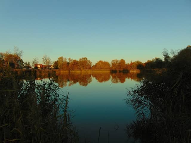 Staw w Grzędzicach - Image 1
