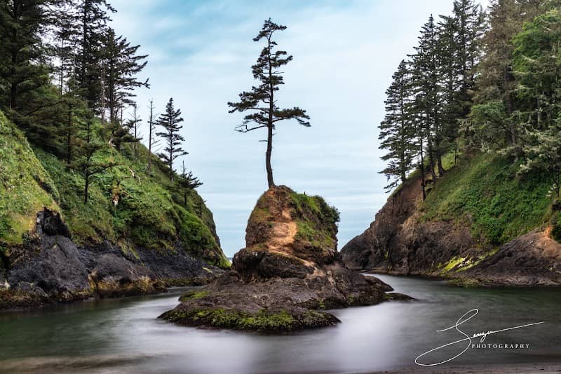 Deadman's Cove - Image 2