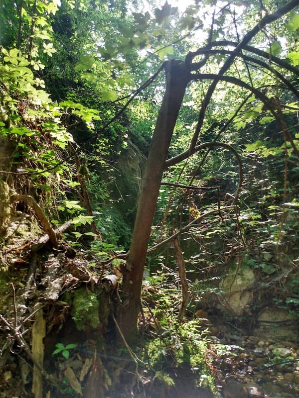 LaGarde Park - Image 2