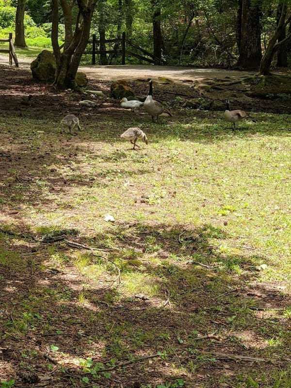 LaGarde Park - Image 1