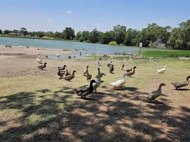 Ninth Street Park - Image 1