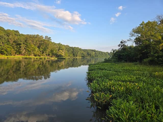 College Landing Park - Image 1
