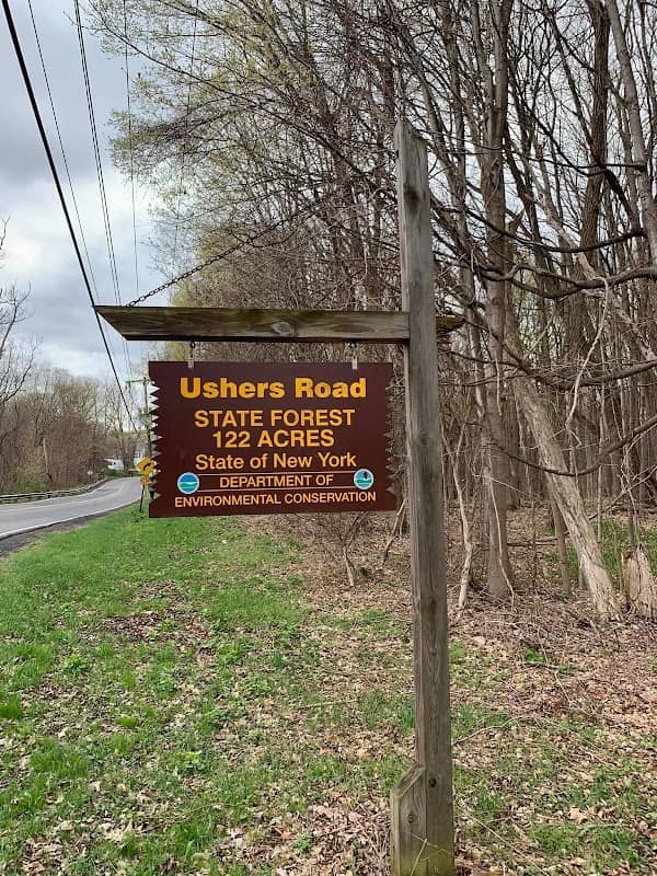 Ushers Road State Forest - Image 1