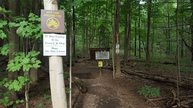 Ushers Road State Forest - Image 2