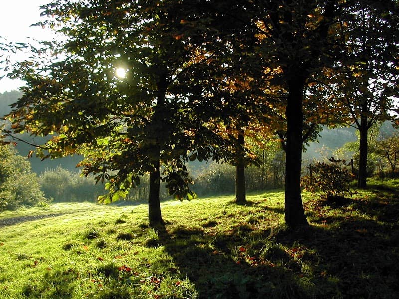 Cuerden Valley Park - Image 2