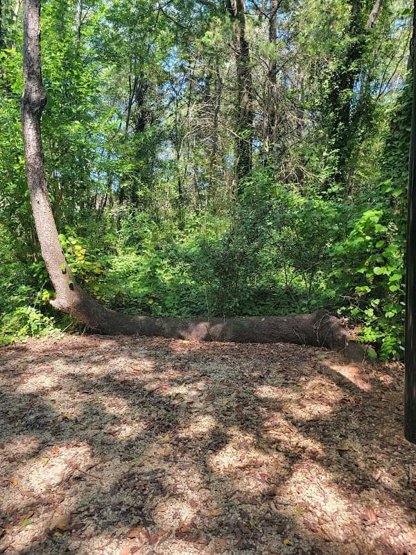 Park - Image 1