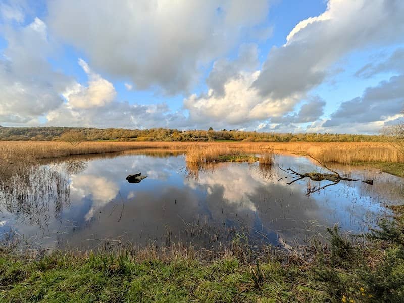 Teifi Marshes Nature Reserve - Image 3