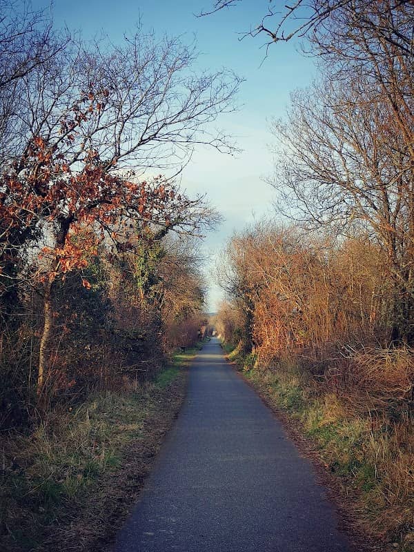 Teifi Marshes Nature Reserve - Image 2