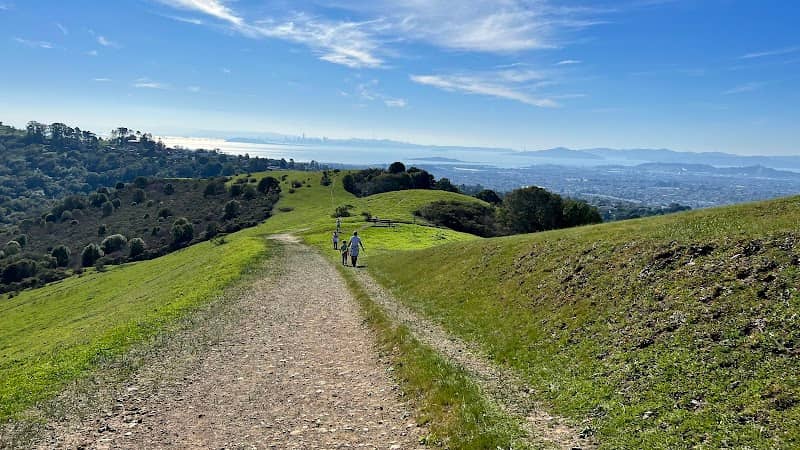 Wildcat Canyon Upper Entrance - Image 2