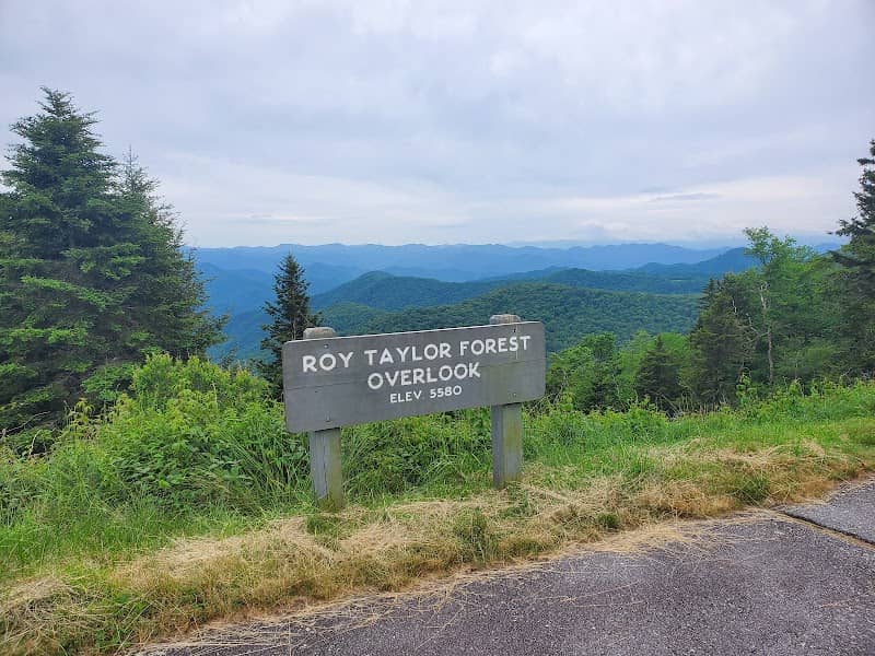 Roy Taylor Forest Overlook - Image 2