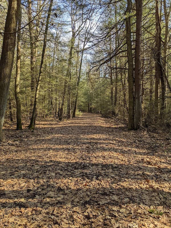 Kimberly Run Natural Area - Image 2