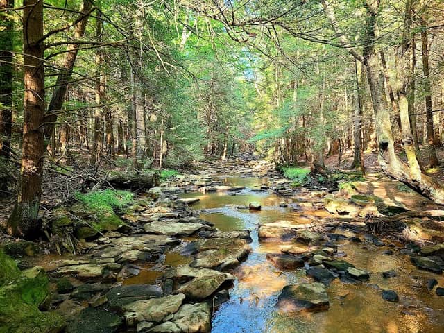 Kimberly Run Natural Area - Image 3