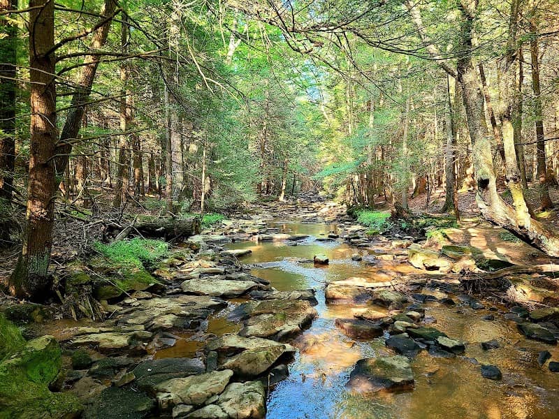 Kimberly Run Natural Area - Image 3