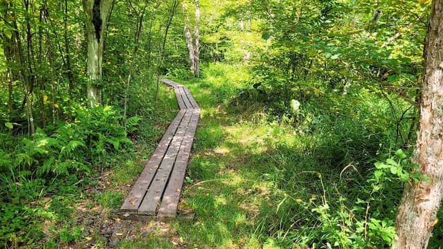 Kimberly Run Natural Area - Image 1