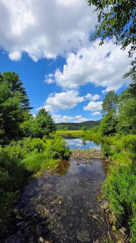 Frick Pond Trailhead Parking - Image 2