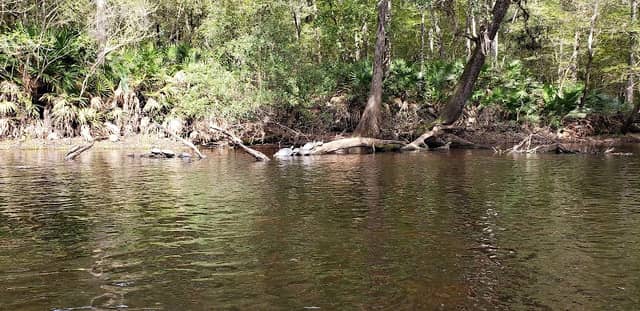 Santa Fe Canoe Outpost Park - Image 2