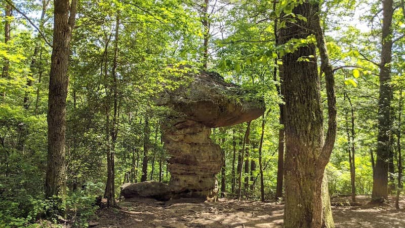 Shackleford Ridge County Park, Signal Mountain Tennessee - Image 1