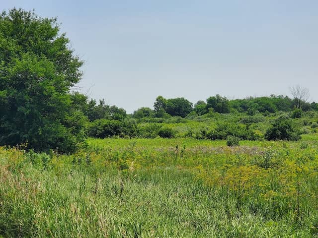 Midewin National Tallgrass Prairie - Image 2