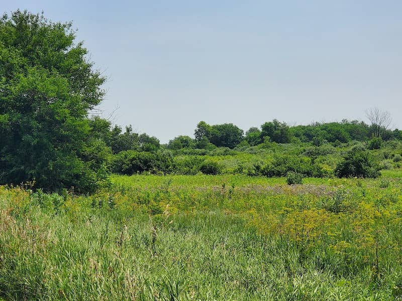 Midewin National Tallgrass Prairie - Image 2