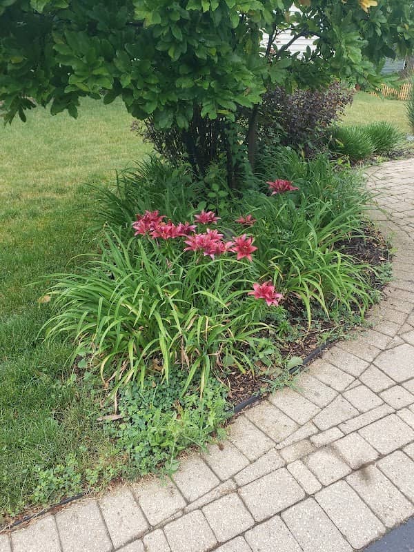 Settlers Park - Image 2