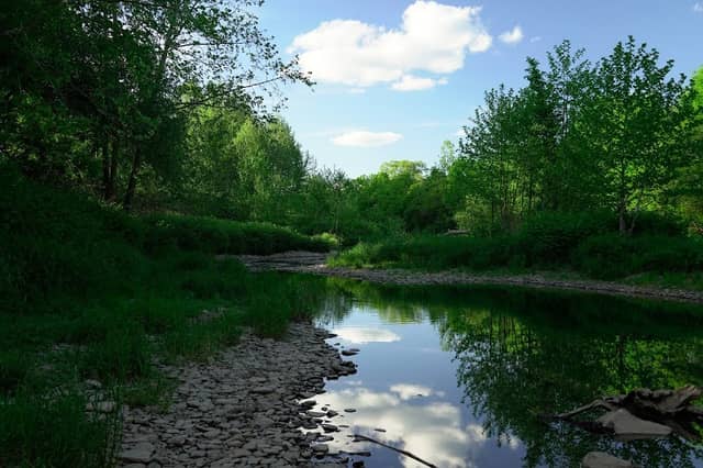 Scio DEC Fishing Access Genesee River Wilds River Access - Image 1