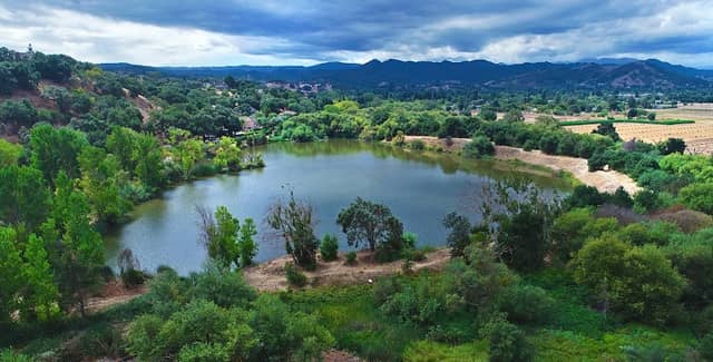 Lake Silveira Habitat Preserve - Image 2