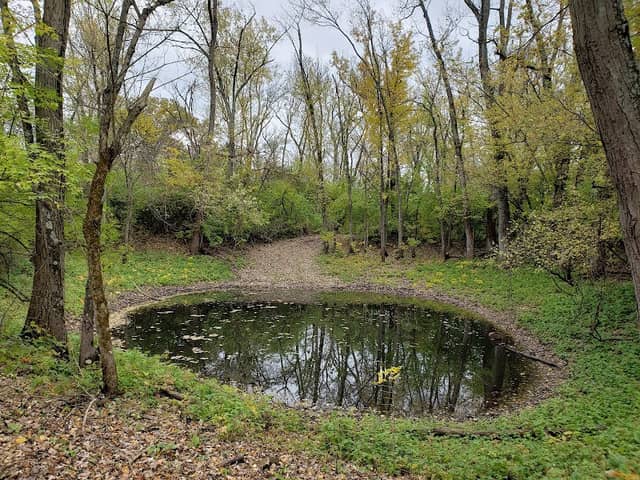 Rosemont Park Nature Reserve - Image 2
