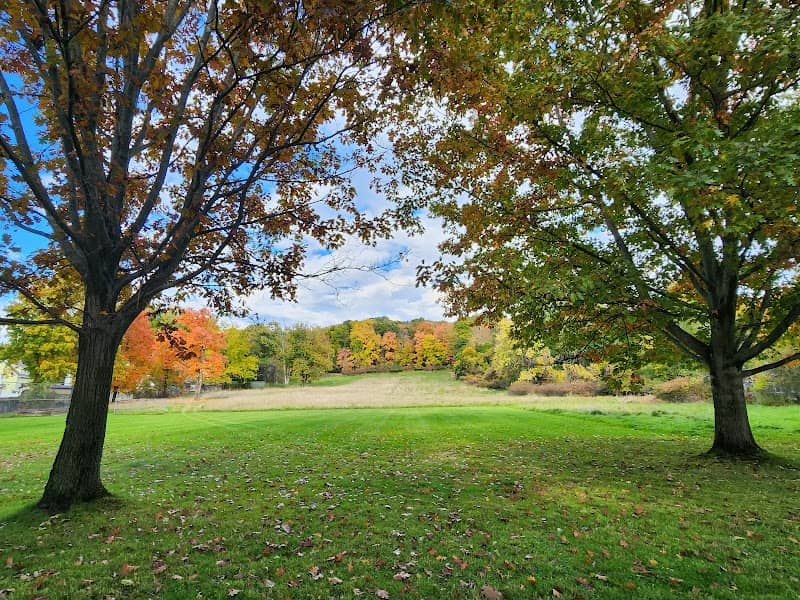 Mulberry Park - Image 1