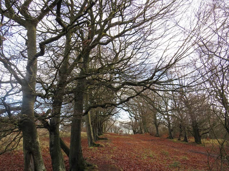 Linhouse Glen - Image 2
