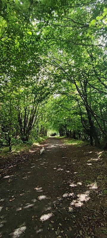 Linhouse Glen - Image 1