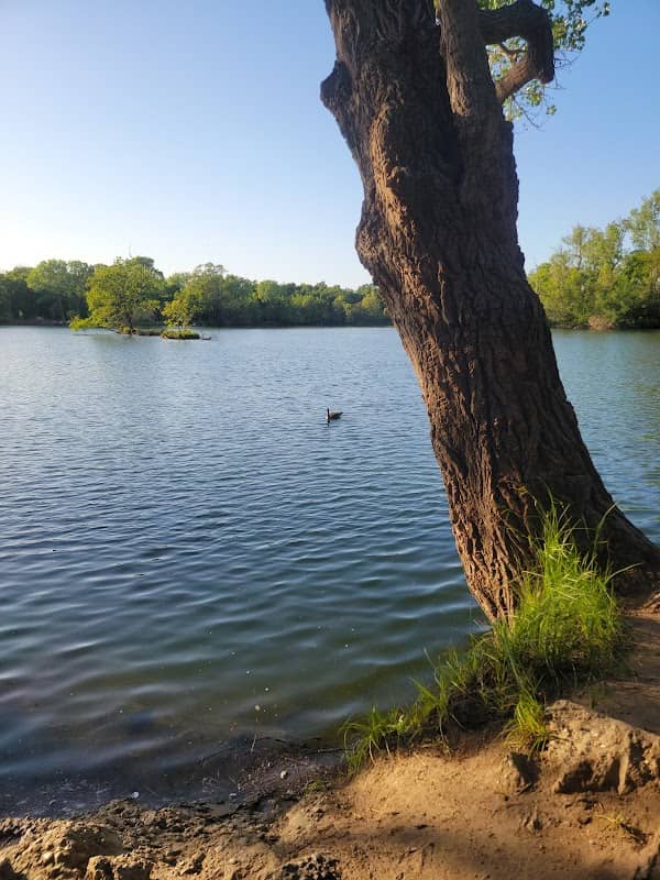 Lodi Lake - Image 1