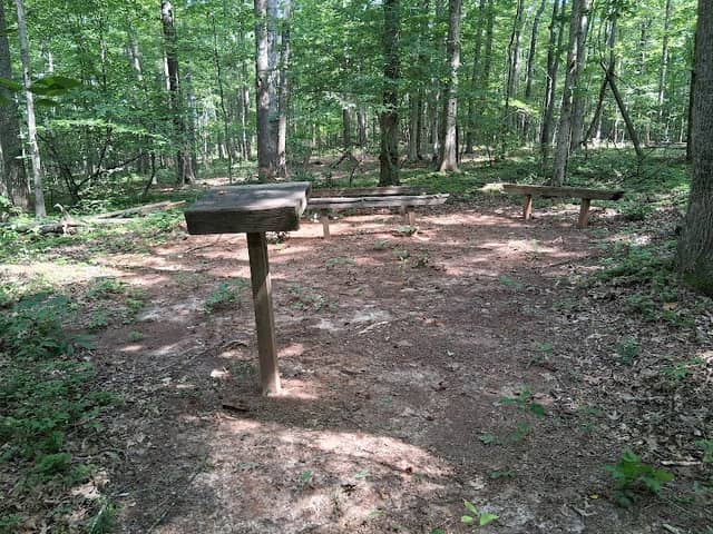 Amherst Nature Trail - Image 2