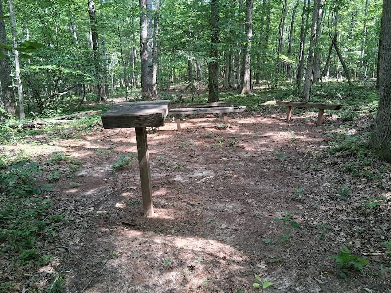 Amherst Nature Trail - Image 2