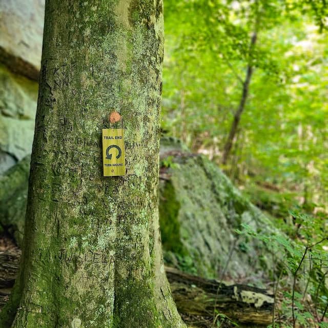 High Bluff Trailhead - Image 2