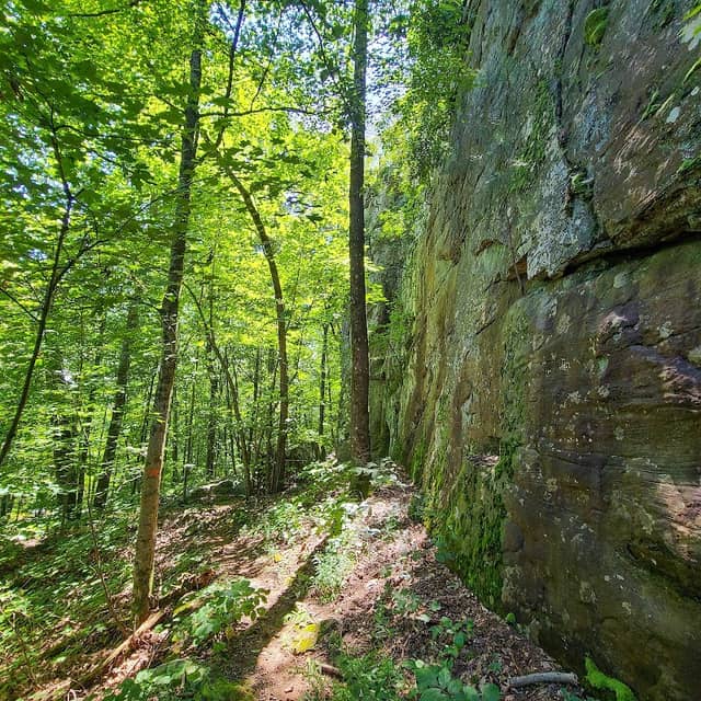 High Bluff Trailhead - Image 1
