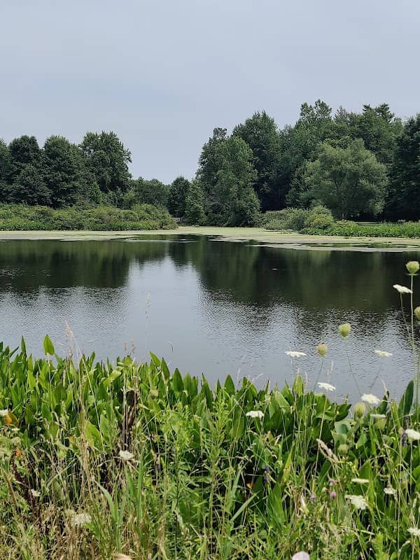 Wetland restoration area - Image 1