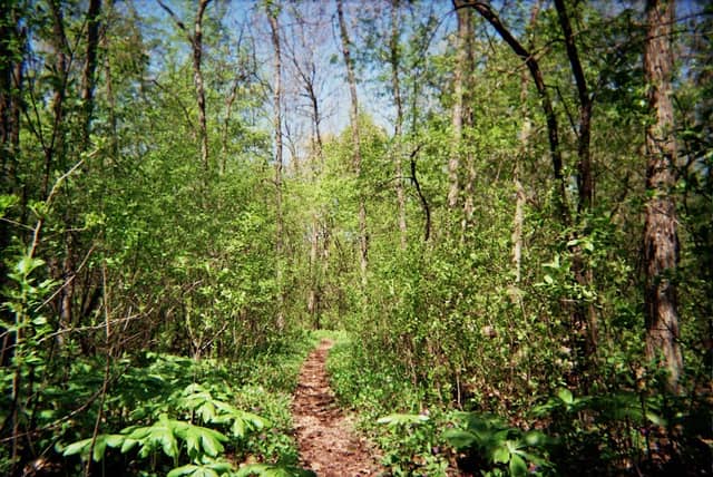 Lasley Point Archeological Site - Image 2