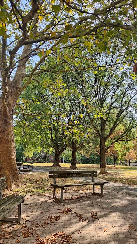 Parco "Il Manzoni" - Image 1