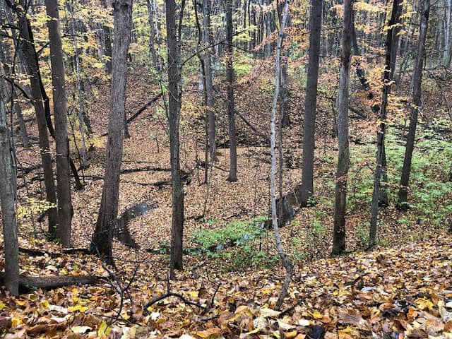 Robb Hidden Canyon - ACRES Land Trust - Image 2