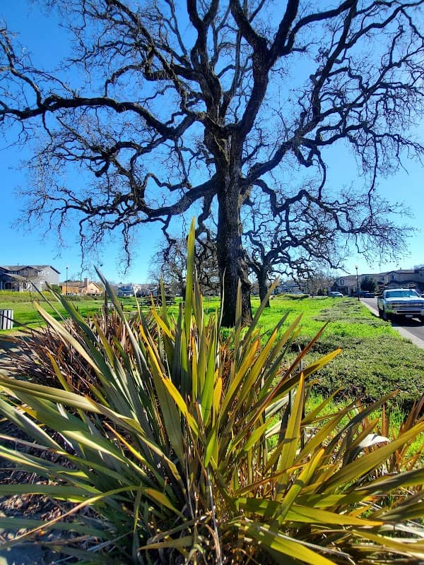 R T Mitchell Park - Image 1