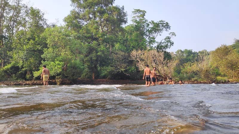 Elephant rock - Image 1