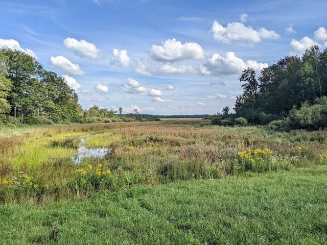 Backus Creek State Game Area - Image 1