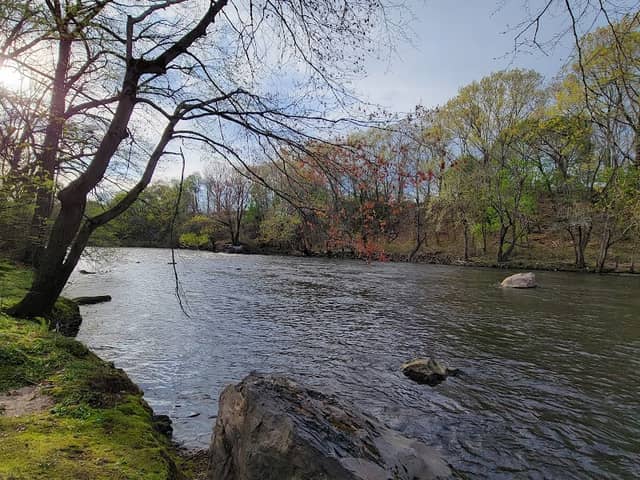 River Island Park - Image 1